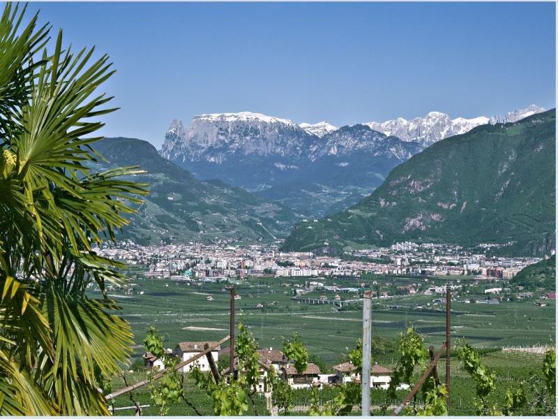 Ebner Moritz Eppan an der Weinstraße 5 suedtirol.info