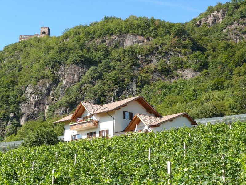 Ebner Moritz Eppan an der Weinstraße 3 suedtirol.info