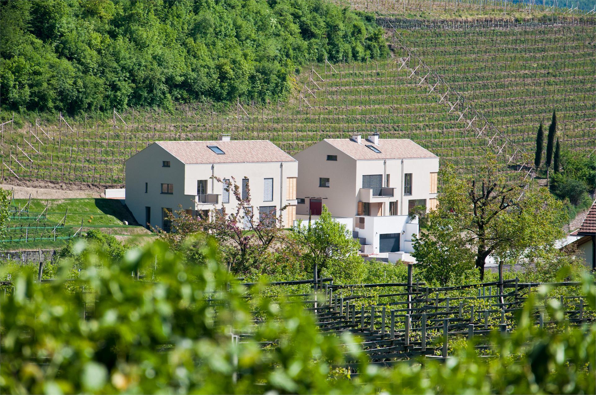 Ferienwohnungen Mazzon Kaltern an der Weinstraße 10 suedtirol.info