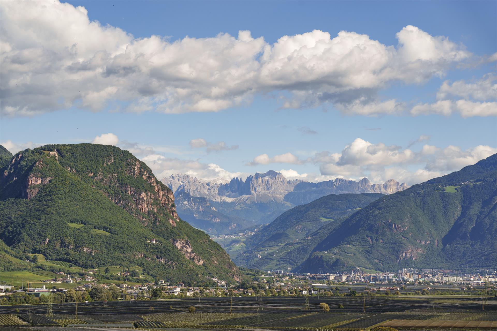 Ferienwohnungen Wieserhof Andrian/Andriano 18 suedtirol.info