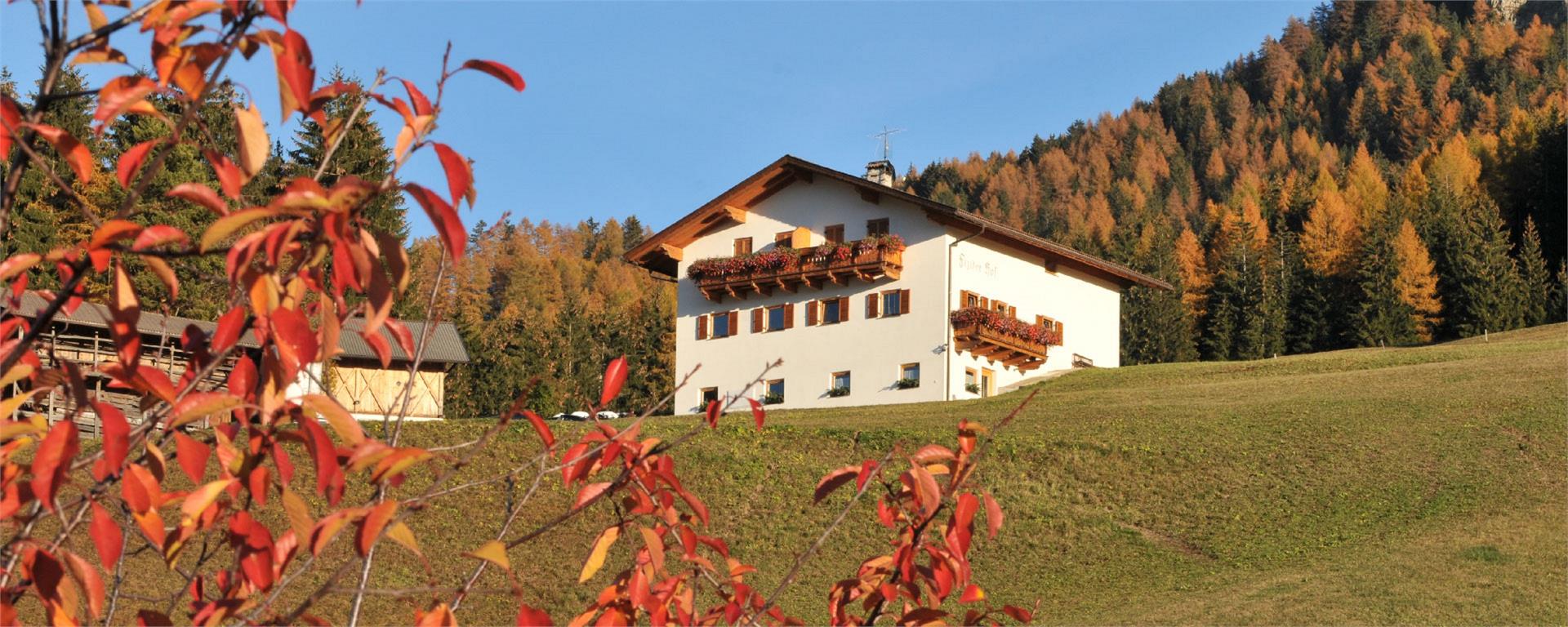 Fiziderhof Kastelruth 8 suedtirol.info