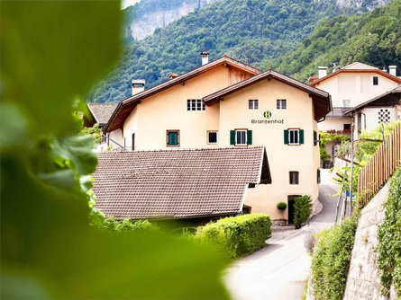 Ferienwohnungen Brantenhof Kurtatsch an der Weinstraße 1 suedtirol.info