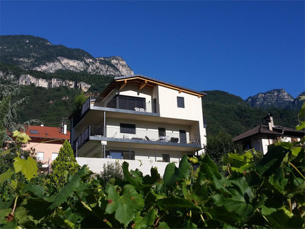 Apartment Palma Tramin an der Weinstraße/Termeno sulla Strada del Vino 1 suedtirol.info