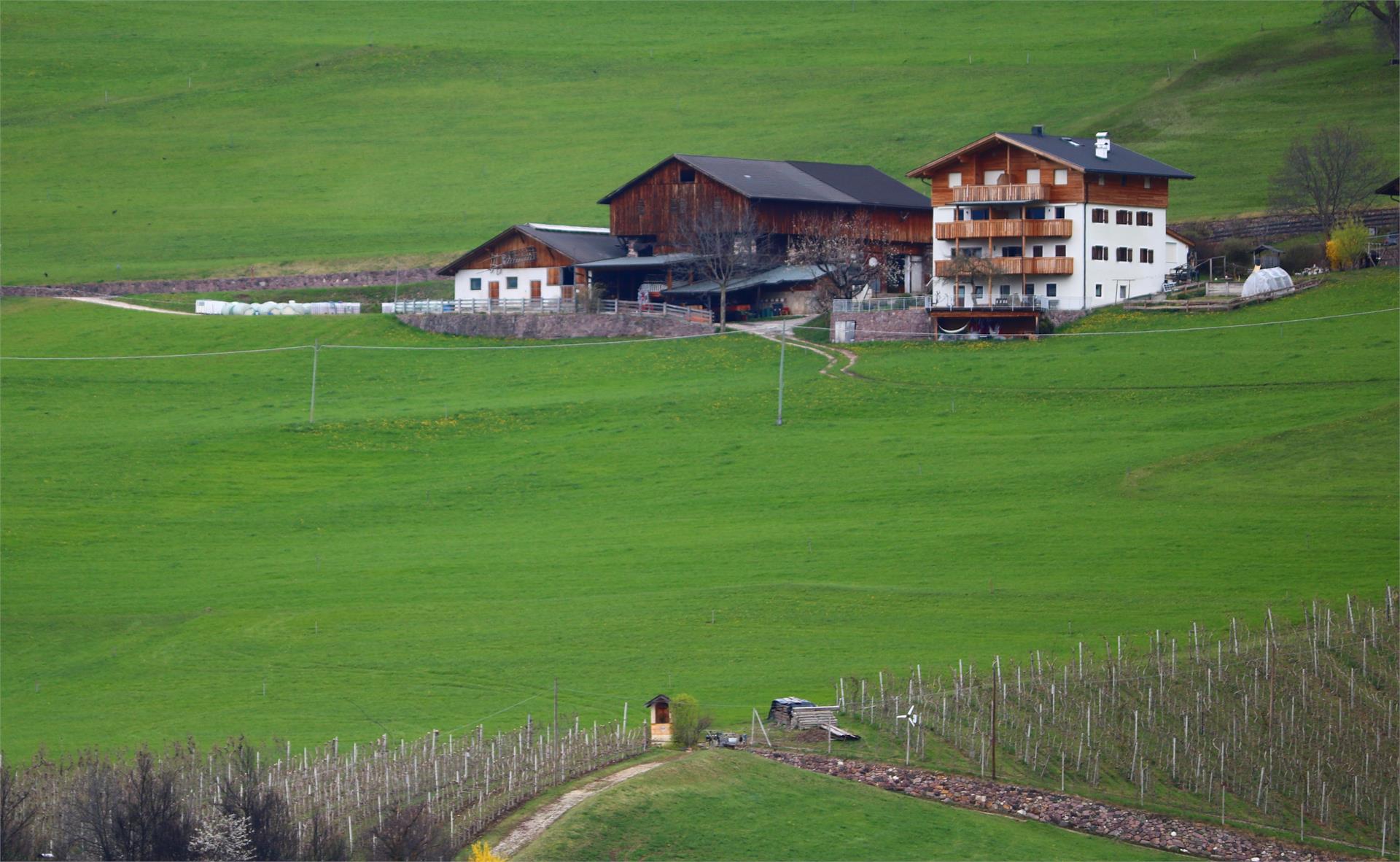 Funtnatscherhof Völs am Schlern 3 suedtirol.info