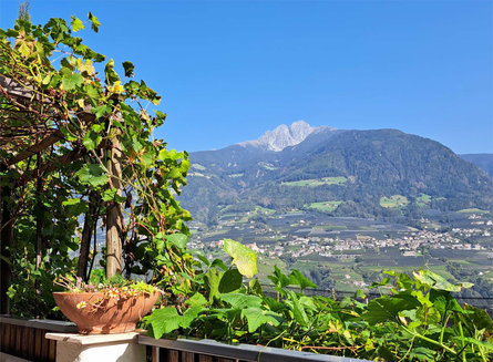 Ferienwohnungen Schönaich Tirol 10 suedtirol.info