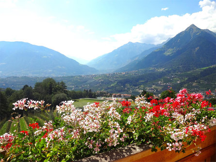 Farmer Scena 10 suedtirol.info