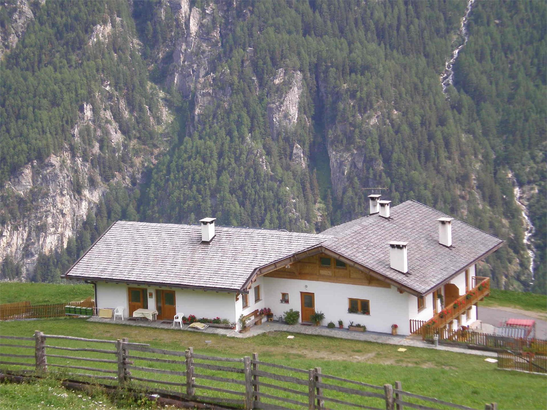 Appartamenti Greit Martello 3 suedtirol.info