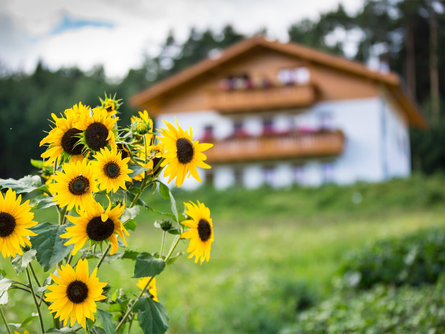 Ferienwohnung Santner Kastelruth 9 suedtirol.info