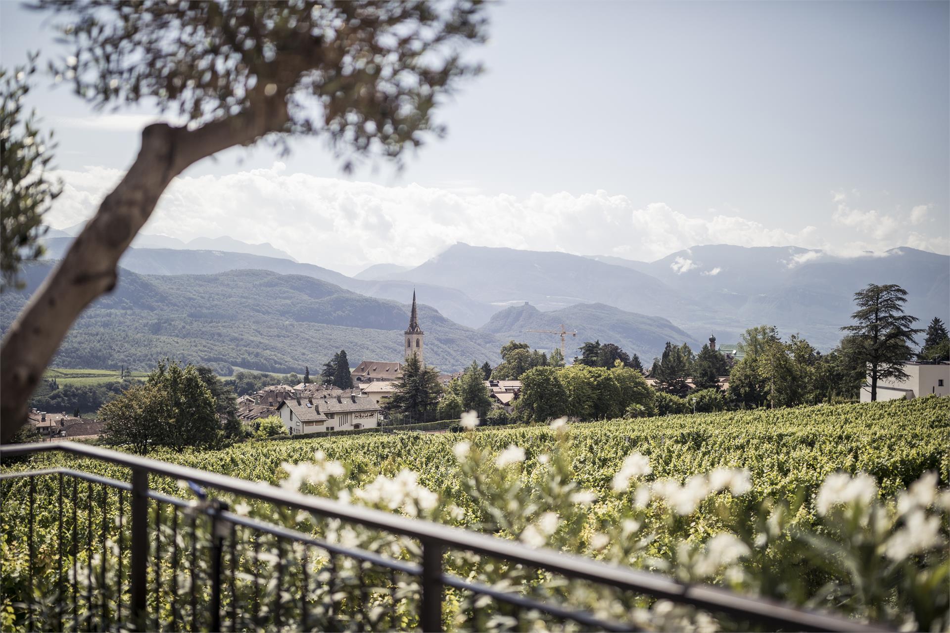 Felderer Boutiquehotel Kaltern an der Weinstraße/Caldaro sulla Strada del Vino 12 suedtirol.info