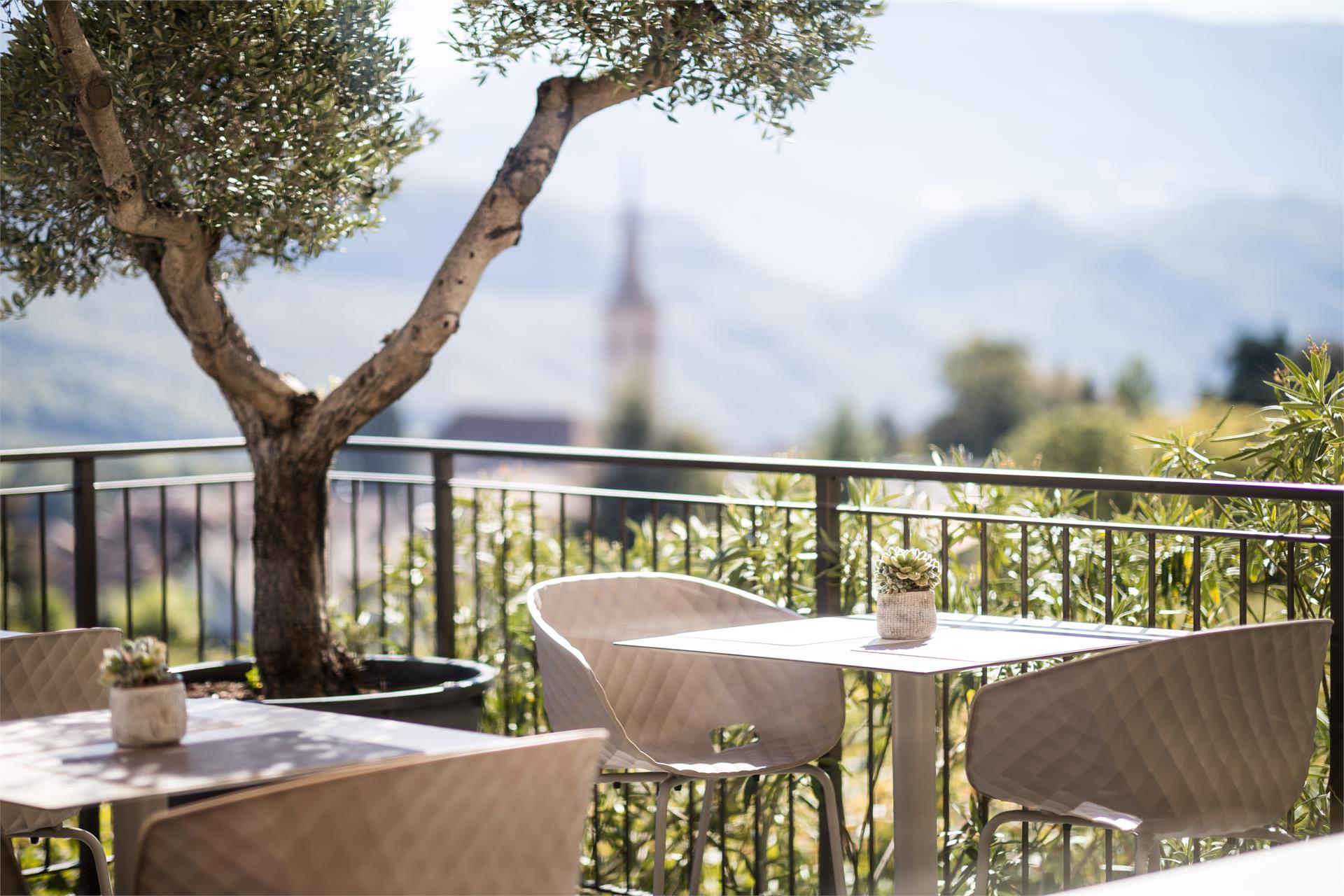 Felderer Boutiquehotel Kaltern an der Weinstraße/Caldaro sulla Strada del Vino 8 suedtirol.info