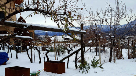 Föhrenhof Caldaro sulla Strada del Vino 24 suedtirol.info