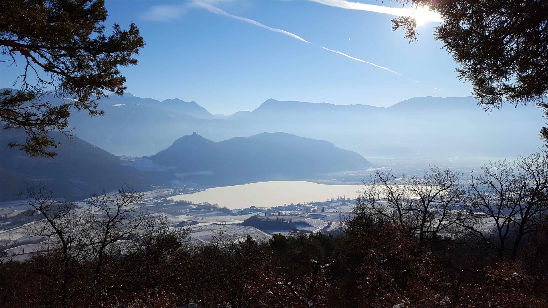 Föhrenhof Kaltern an der Weinstraße/Caldaro sulla Strada del Vino 25 suedtirol.info