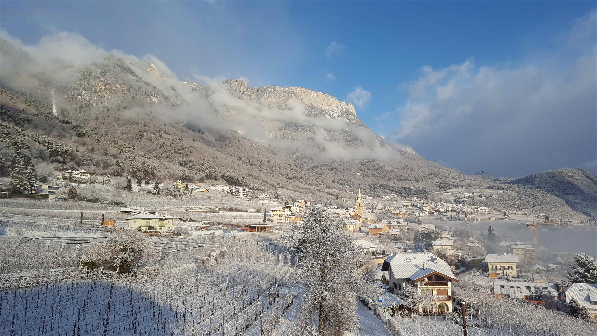 Föhrenhof Kaltern an der Weinstraße/Caldaro sulla Strada del Vino 27 suedtirol.info