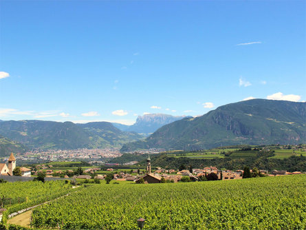 Ferienwohnung Haas Eppan an der Weinstaße/Appiano sulla Strada del Vino 1 suedtirol.info