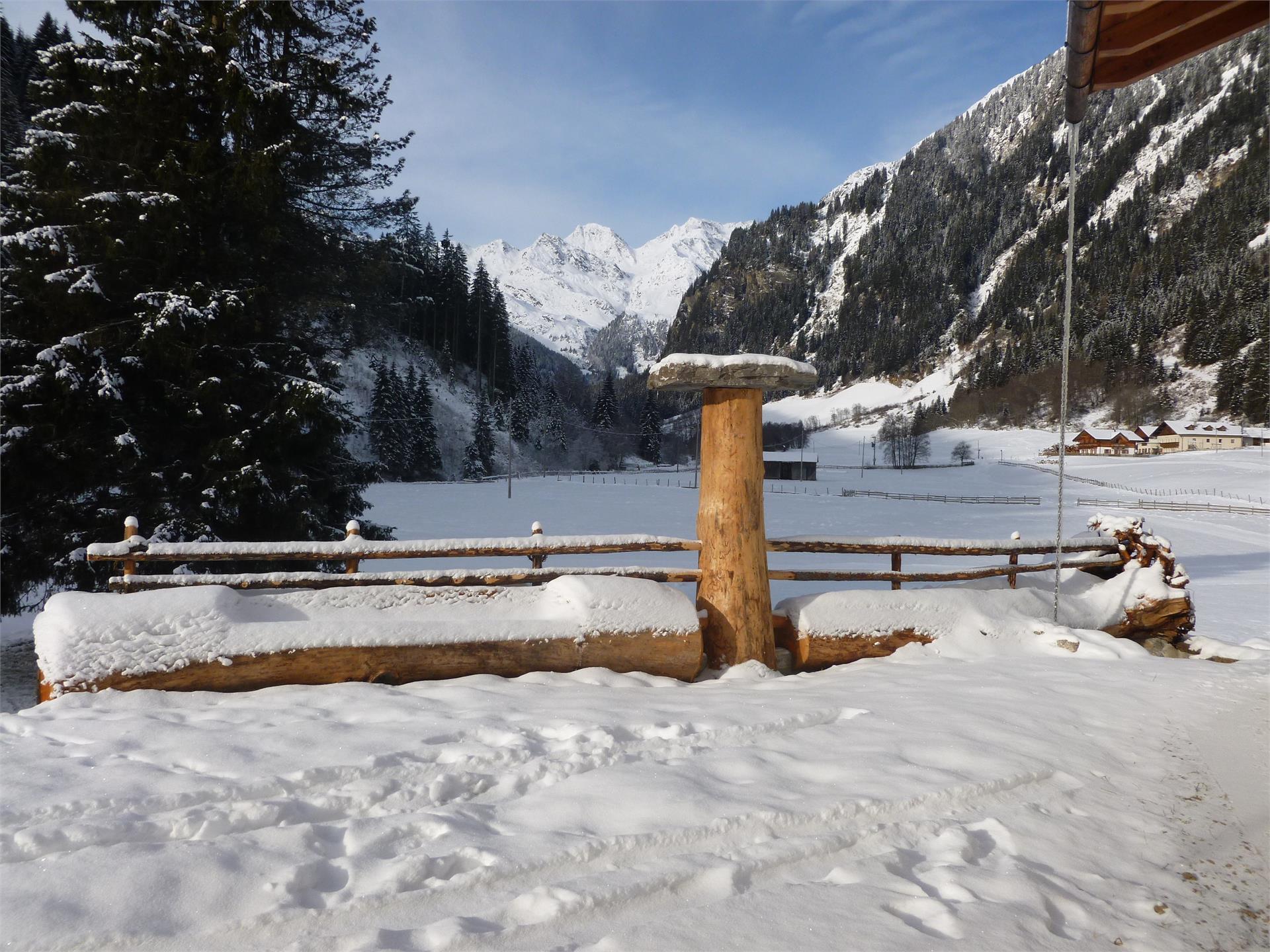 Ferienhaus "Larch Soge" Ratschings 5 suedtirol.info