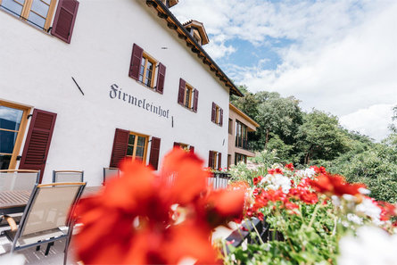 Firmelein Appiano sulla Strada del Vino 3 suedtirol.info