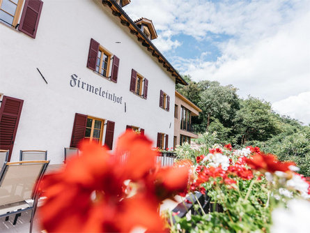 Firmelein Appiano sulla Strada del Vino 2 suedtirol.info