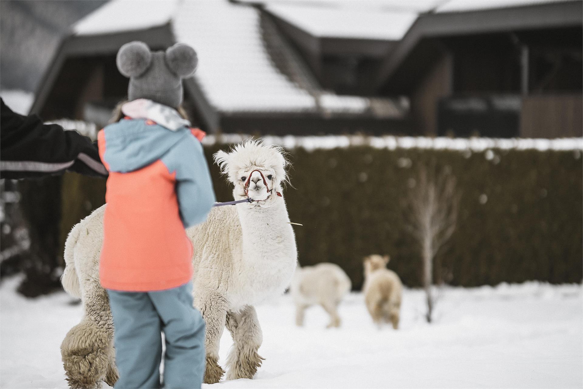 Family Aparthotel Winklwiese Olang 19 suedtirol.info