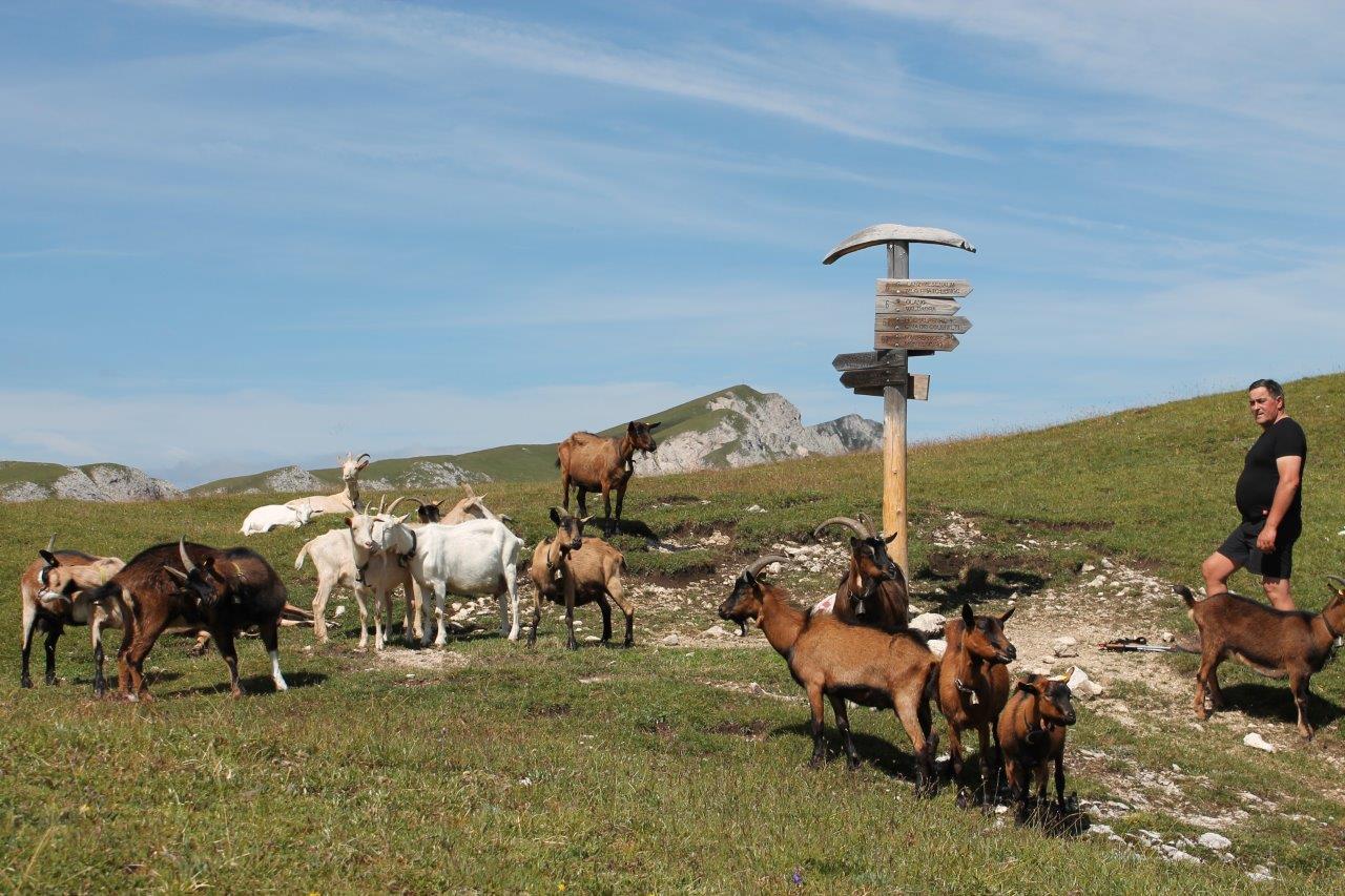 Ferienwohnungen Vordermoar Olang/Valdaora 3 suedtirol.info