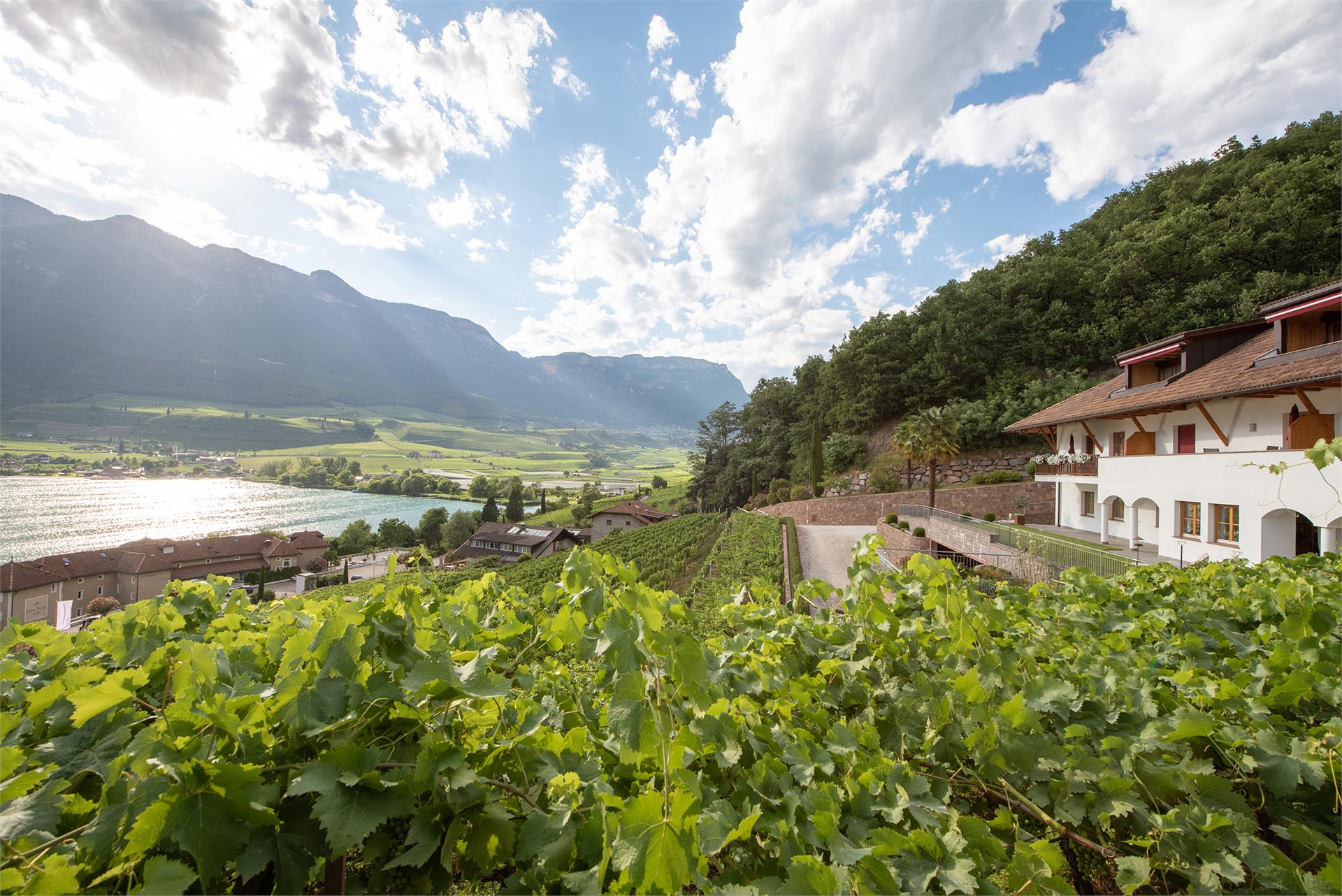 Fuchsleitenhof Kaltern an der Weinstraße 23 suedtirol.info