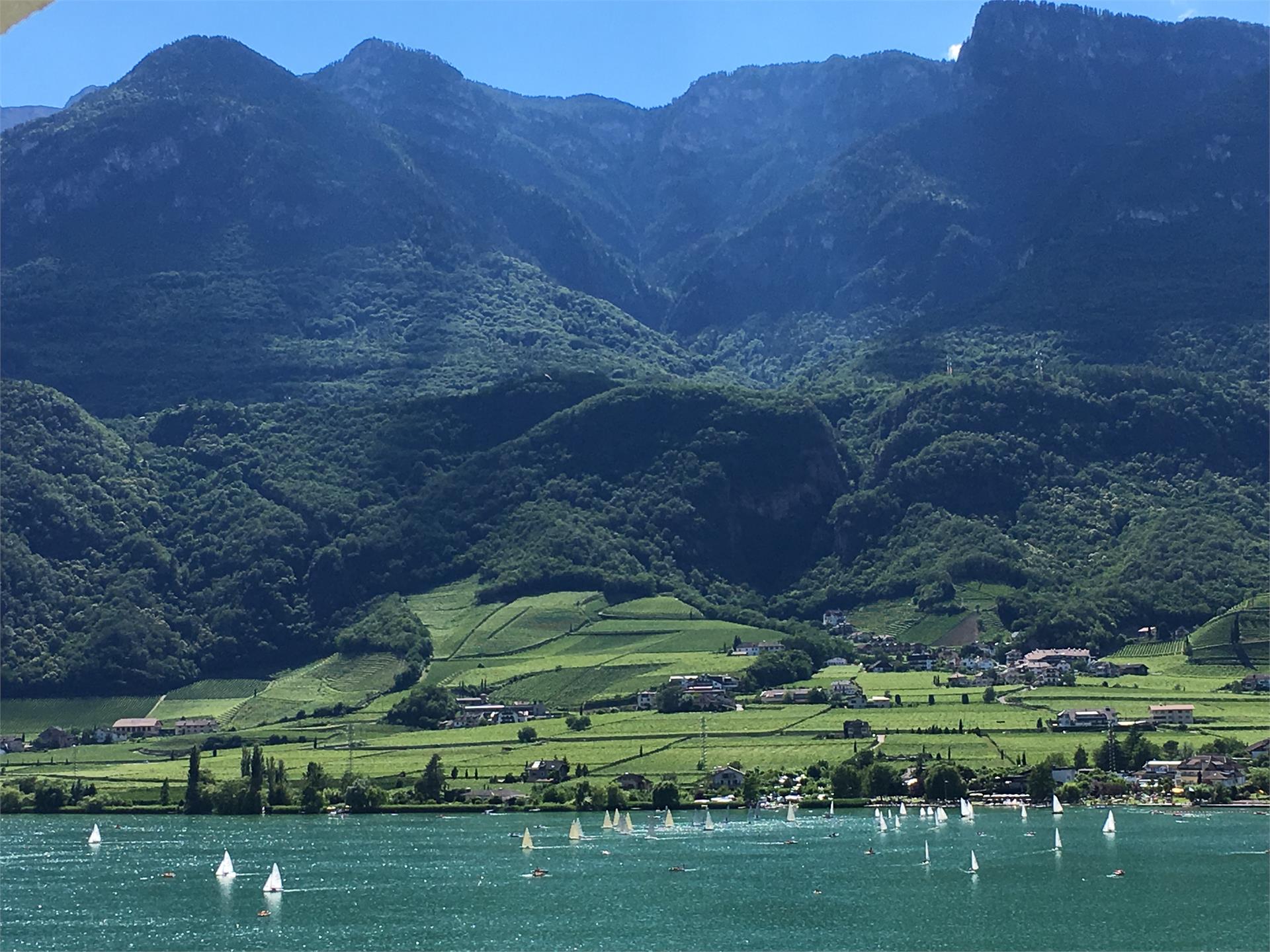 Fuchsleitenhof Kaltern an der Weinstraße 5 suedtirol.info