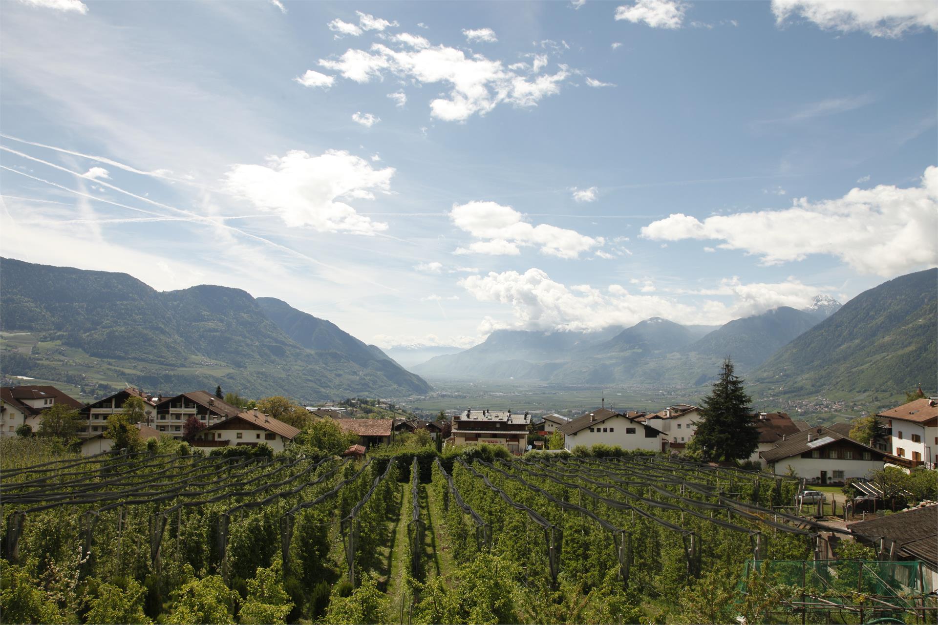 Ferienwohnungen Oberortsgut Tirol/Tirolo 2 suedtirol.info