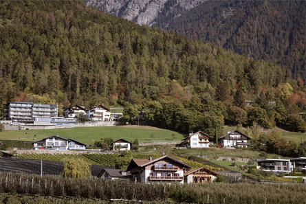 Ferienwohnungen Platterhof Tirol/Tirolo 6 suedtirol.info