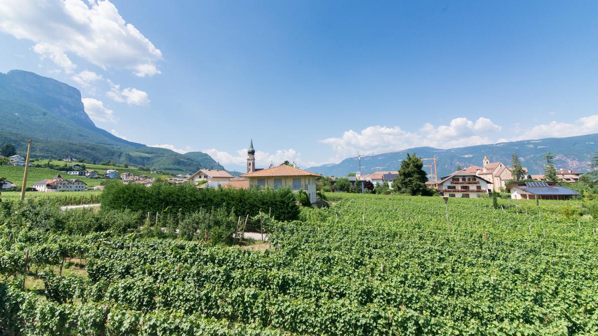 Fischerhof - Dissertori Stephan Eppan an der Weinstraße 8 suedtirol.info