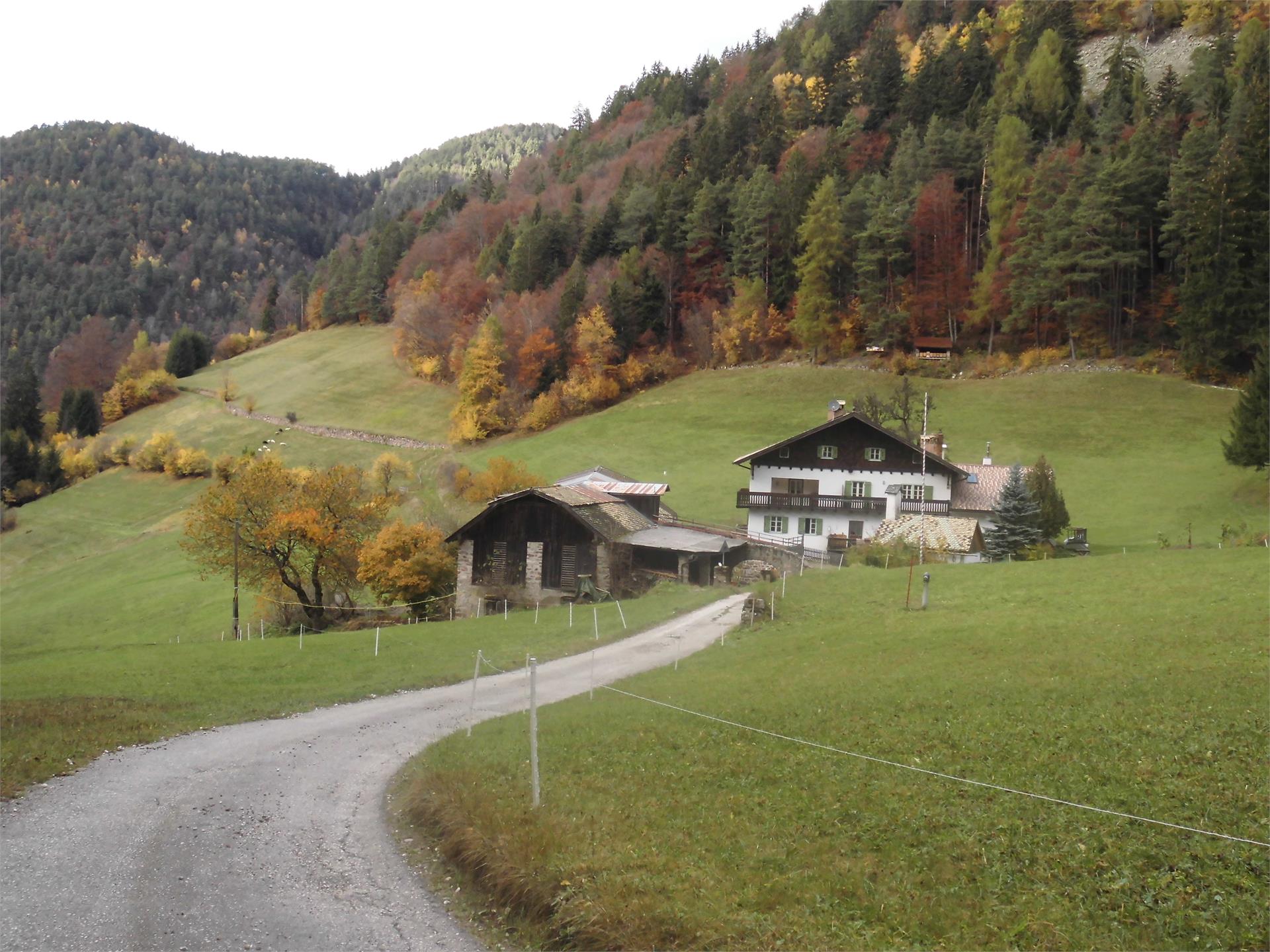 Apartments Fölserhof Aldein/Aldino 5 suedtirol.info