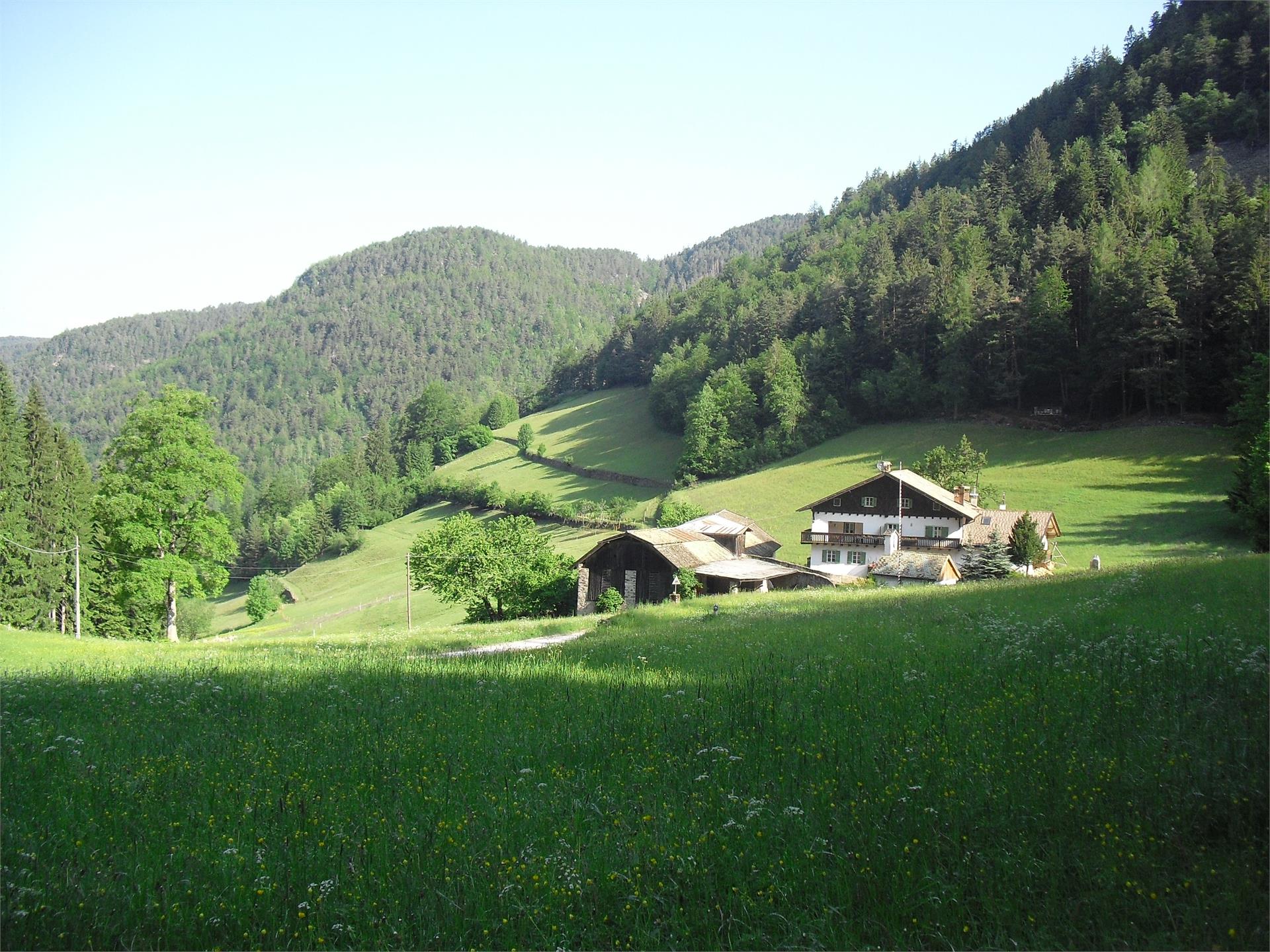 Apartments Fölserhof Aldein/Aldino 1 suedtirol.info