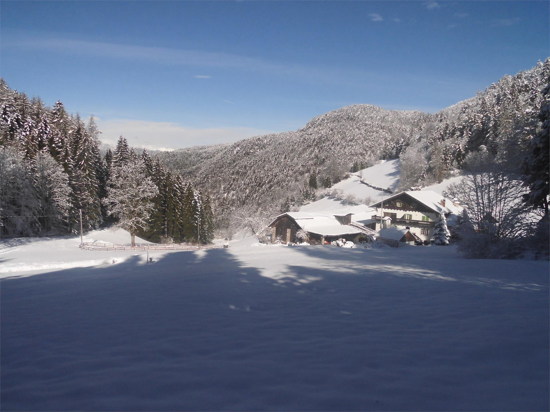 Apartments Fölserhof Aldein/Aldino 4 suedtirol.info