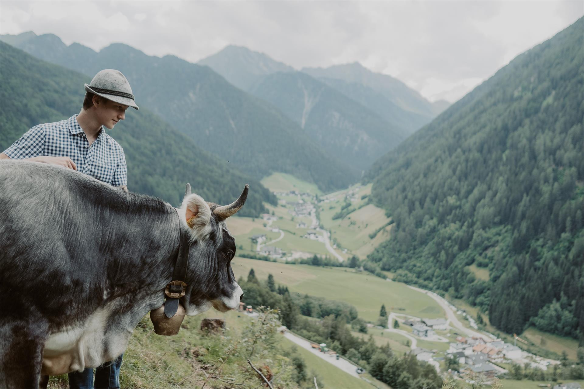 Gogererhof Racines 22 suedtirol.info