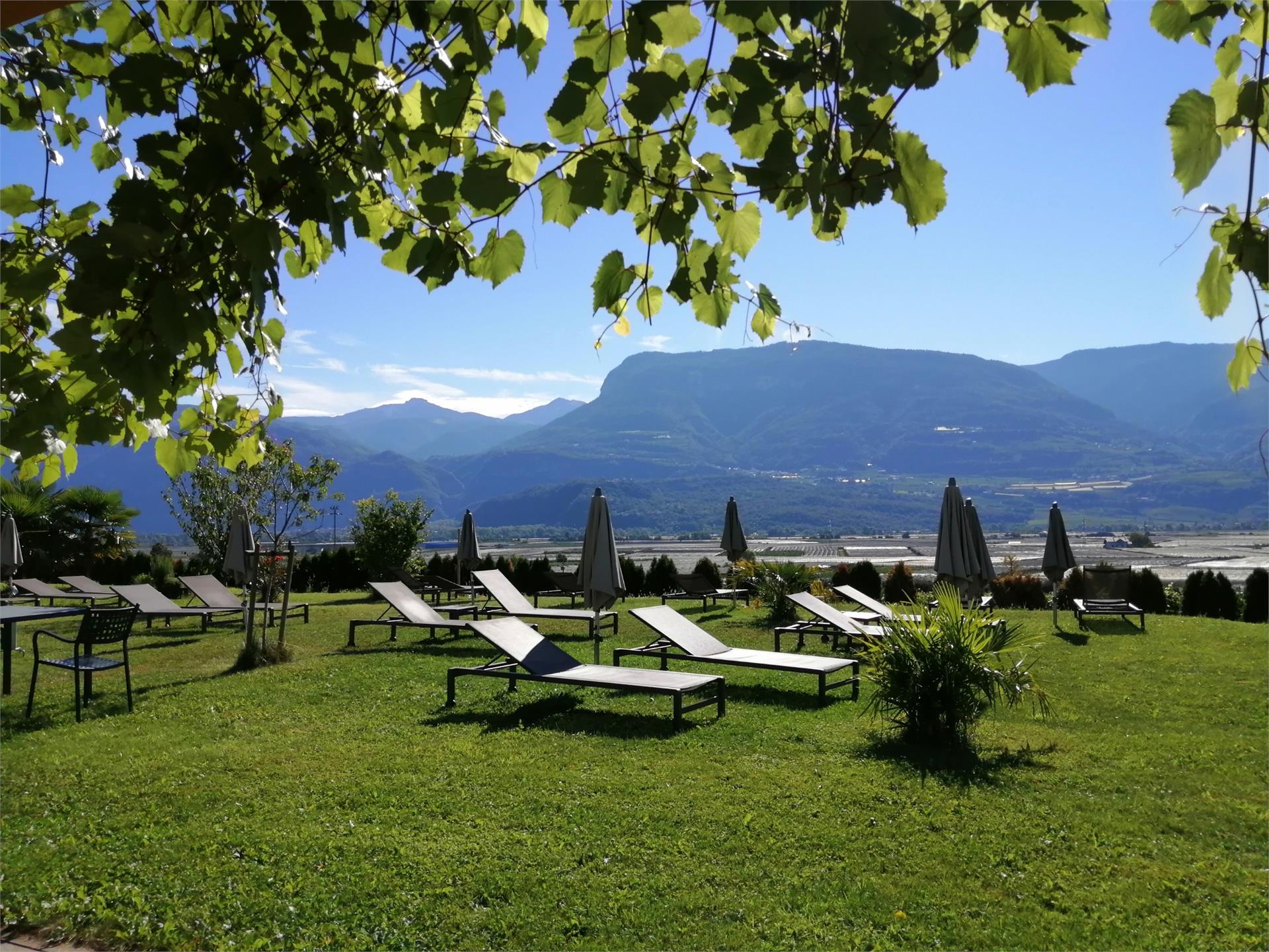 Gutshof Rellich Tramin an der Weinstraße 11 suedtirol.info