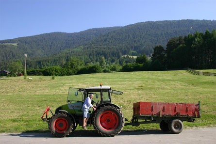 Gasserhof Pfalzen 15 suedtirol.info