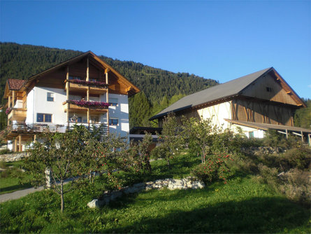 Gasserhof Pfalzen/Falzes 1 suedtirol.info