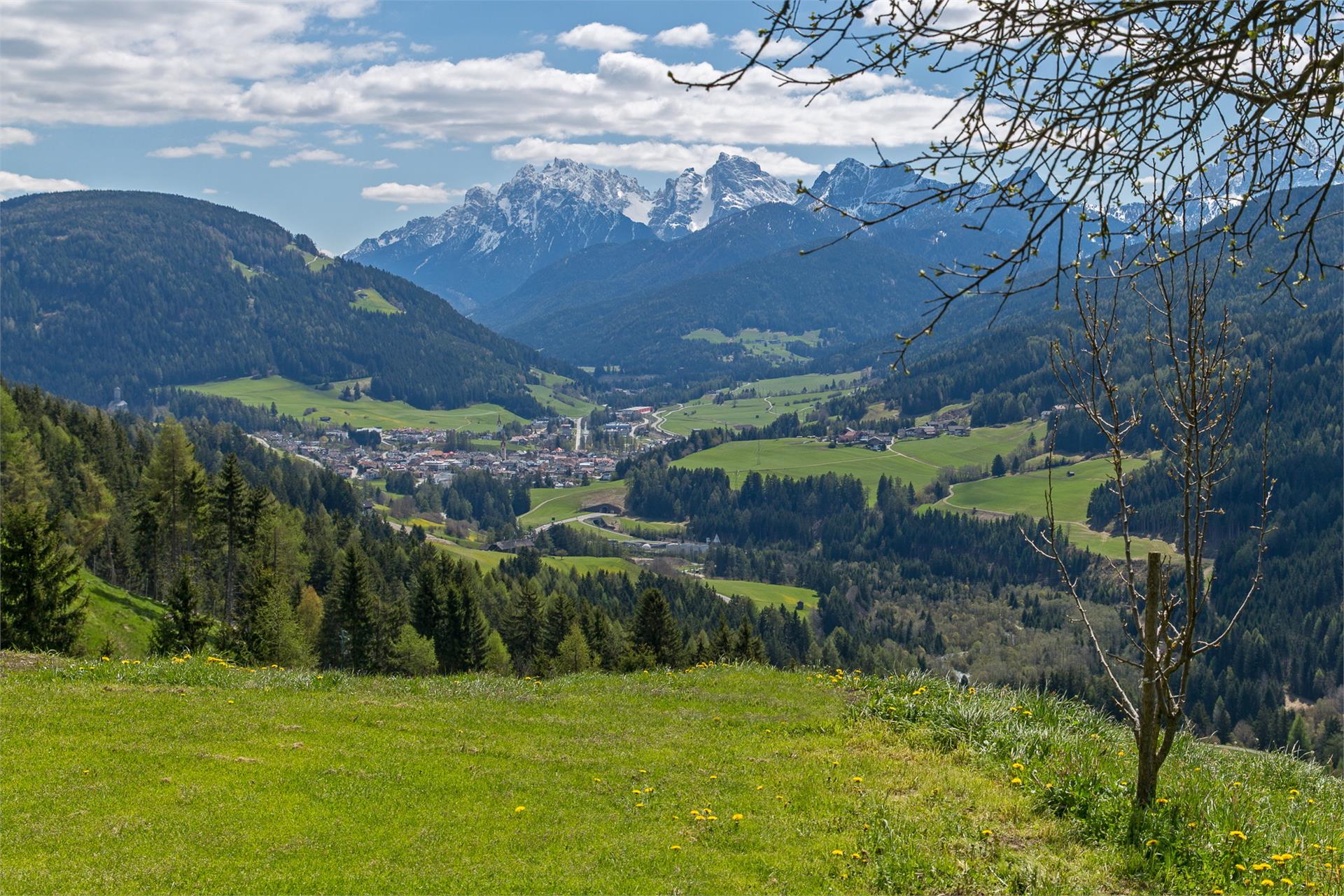 Golserhof Welsberg-Taisten/Monguelfo-Tesido 3 suedtirol.info