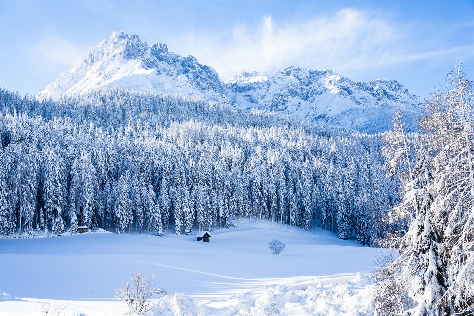 Garni Lechner Innichen/San Candido 22 suedtirol.info