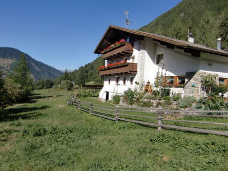 Gasthof Trushof Stilfs 5 suedtirol.info