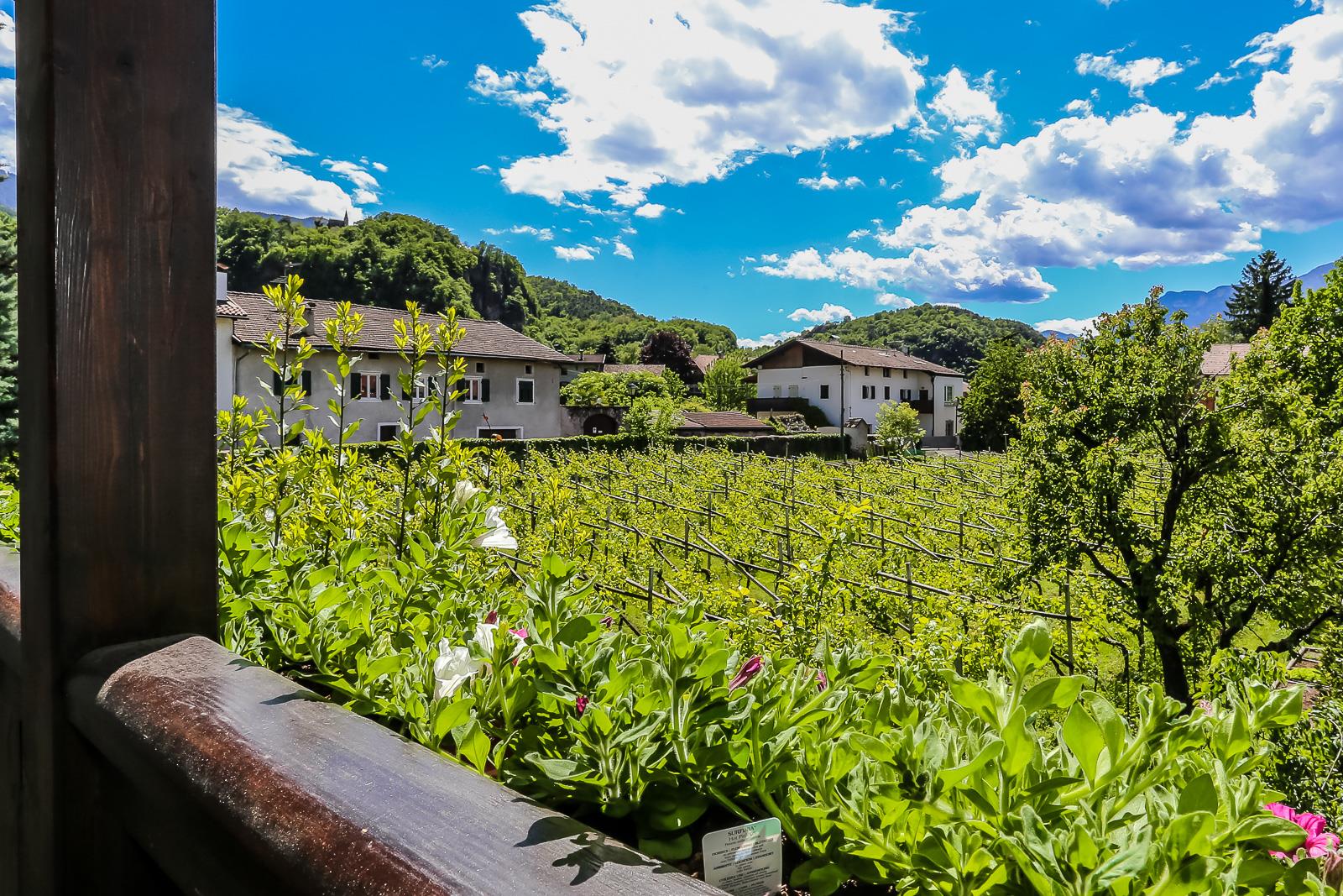 Garni Meinrad Auer 8 suedtirol.info