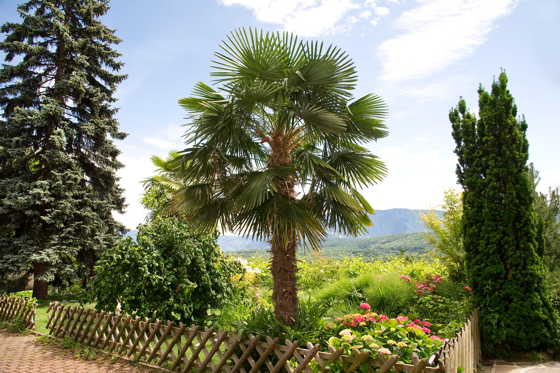 Gästehaus  Weinberg Kaltern an der Weinstraße/Caldaro sulla Strada del Vino 23 suedtirol.info