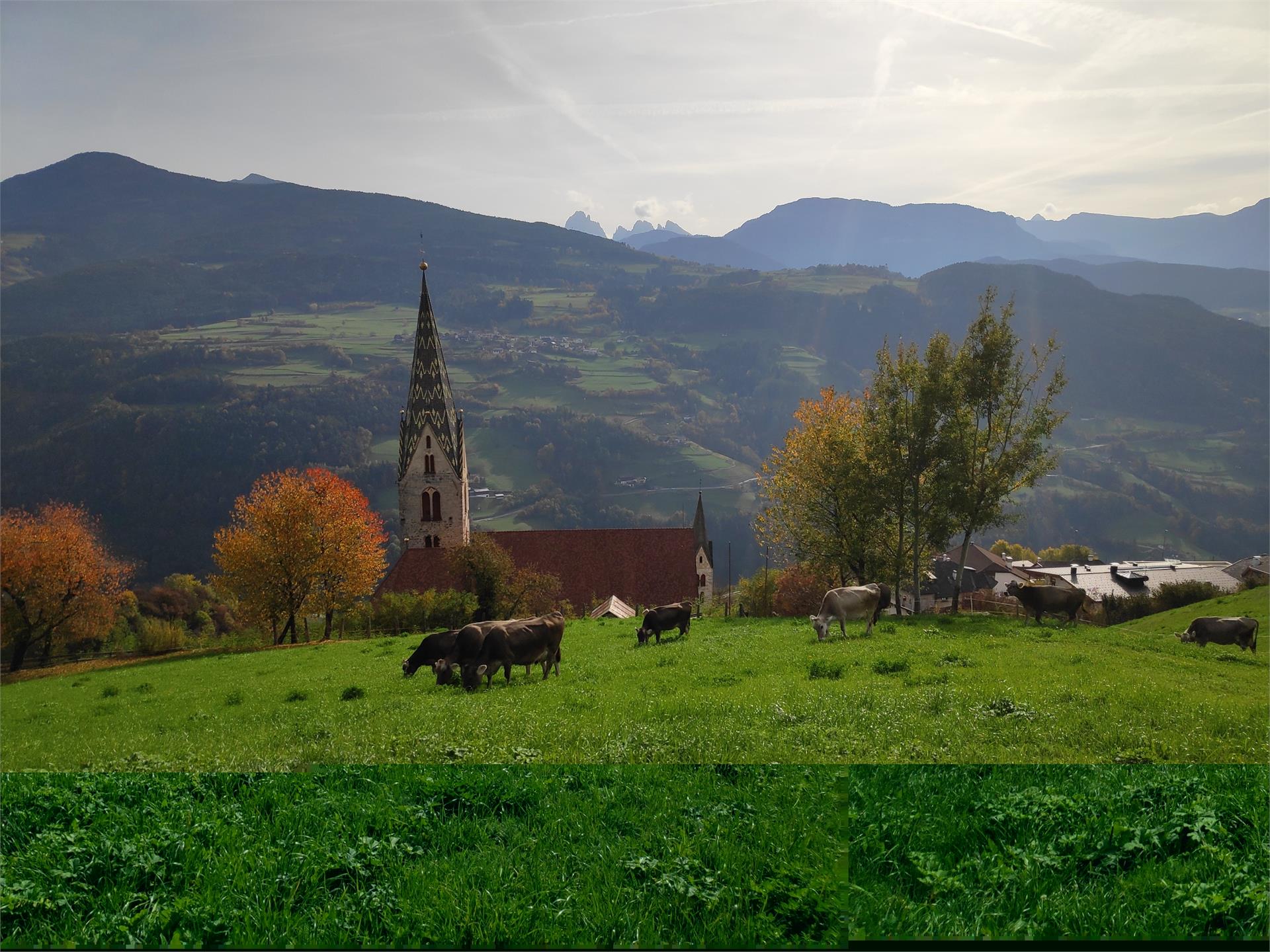 Gostnerhof Villanders 24 suedtirol.info