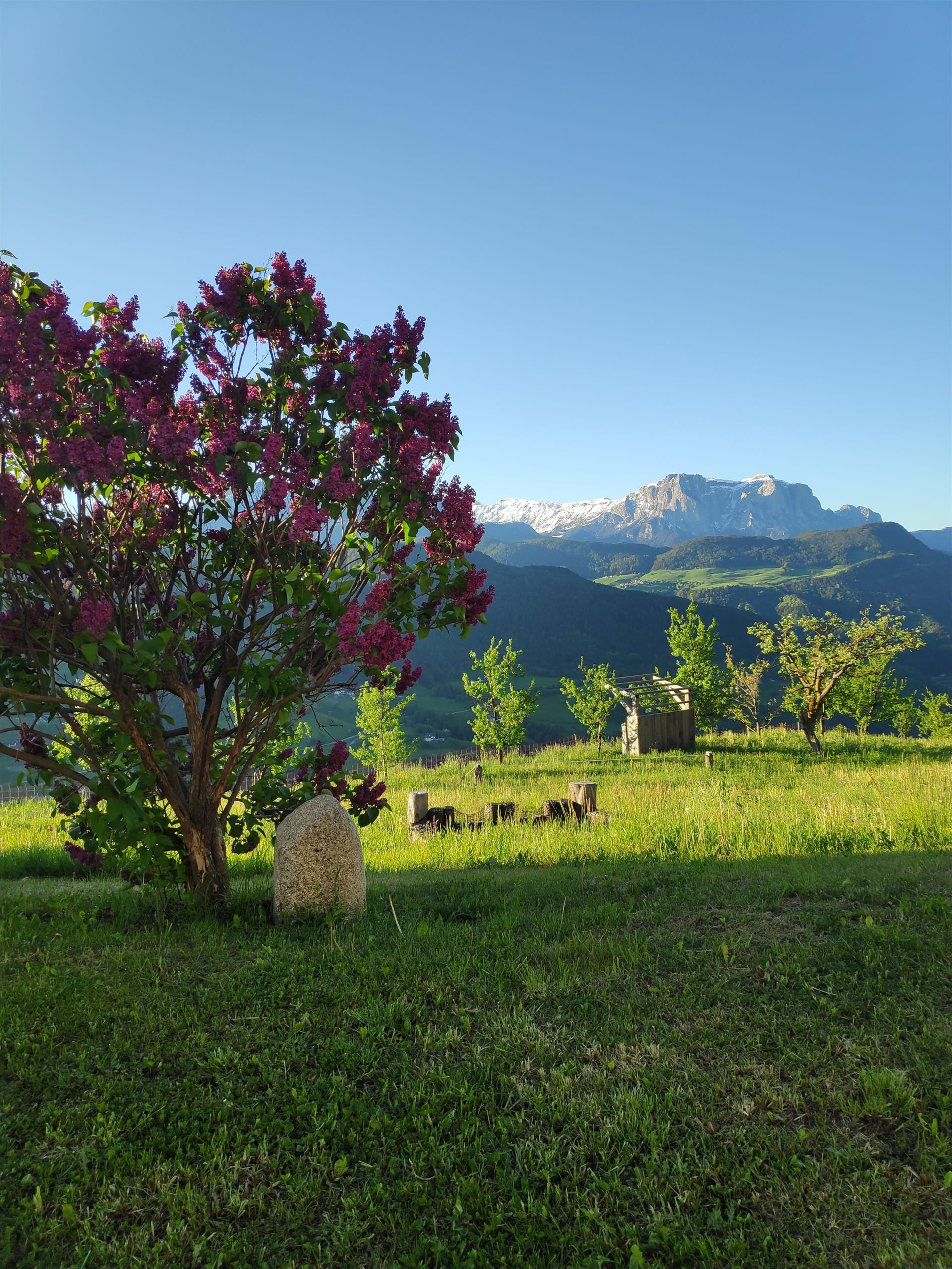 Gostnerhof Villanders 4 suedtirol.info