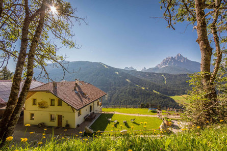 Maso Gassler San Candido 7 suedtirol.info