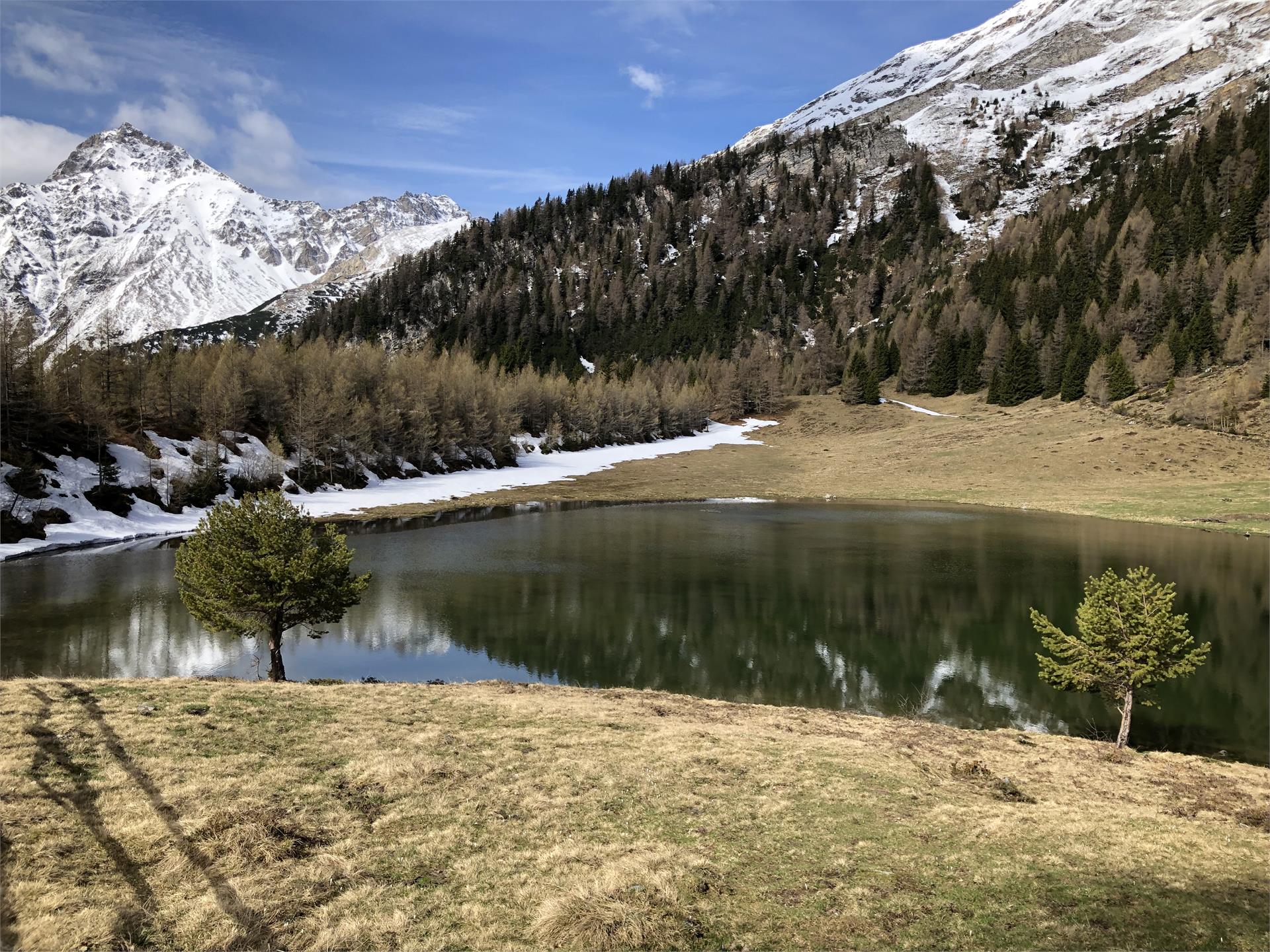 Gasthof Alpenrose Pfitsch 14 suedtirol.info