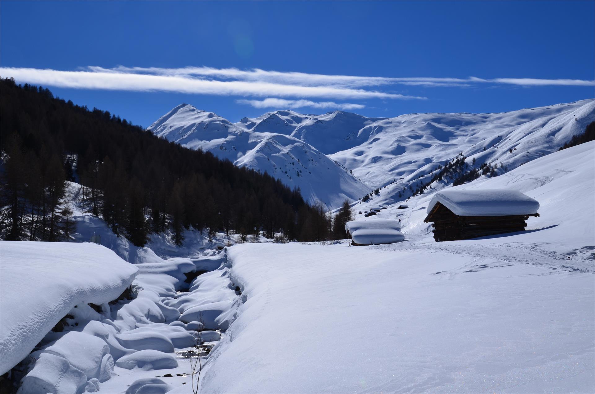 Garni Irene Graun im Vinschgau 23 suedtirol.info