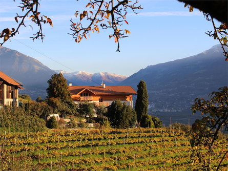 Greiterhof Lana 2 suedtirol.info