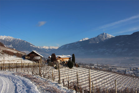 Greiterhof Lana 7 suedtirol.info