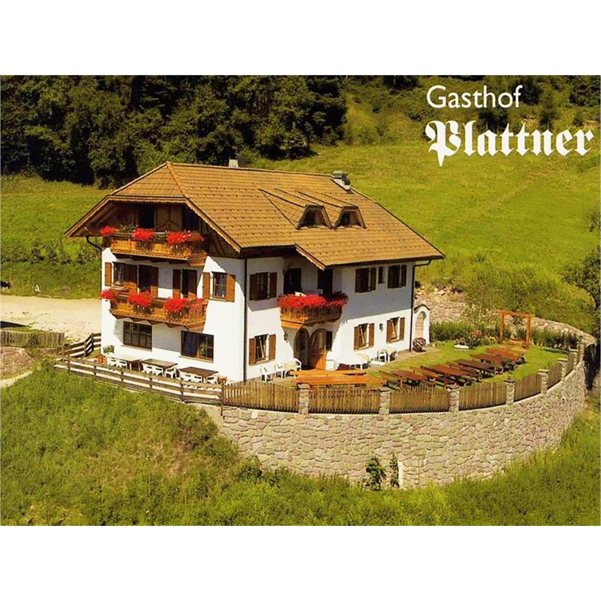 Albergo Plattner Jenesien/San Genesio Atesino 3 suedtirol.info