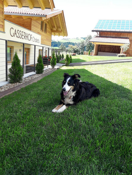 Gasserhof - Chalets Mölten/Meltina 5 suedtirol.info