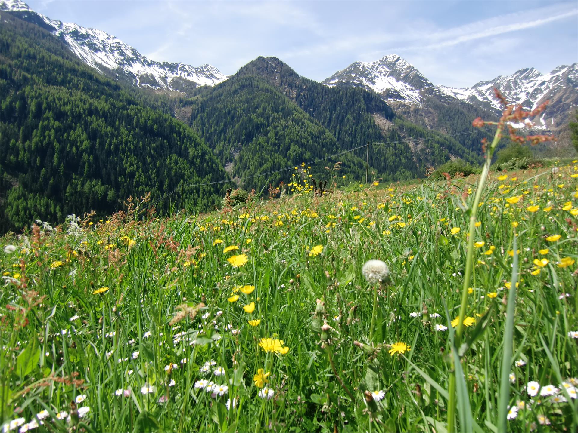 Garni Kristall Selva dei Molini 8 suedtirol.info